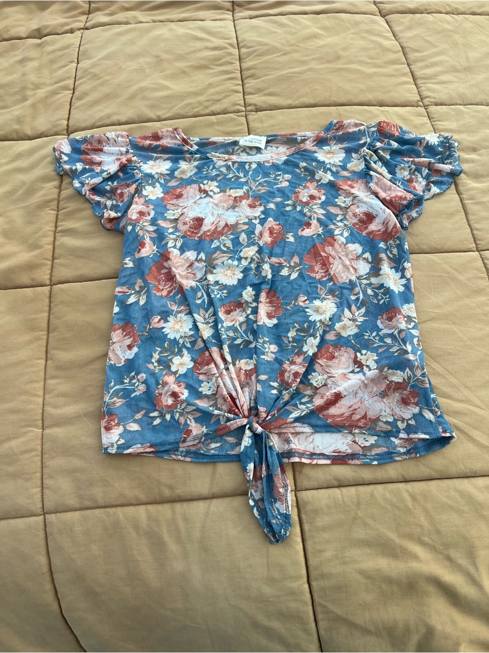 Caution to the Wind Sheer Mesh Blue/Neutrals Floral Tie Front top Size m